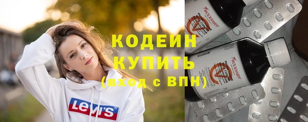 хмурый Абаза