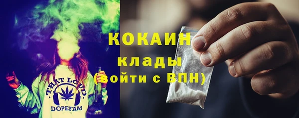 хмурый Абаза
