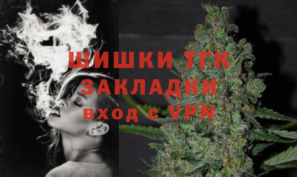 хмурый Абаза