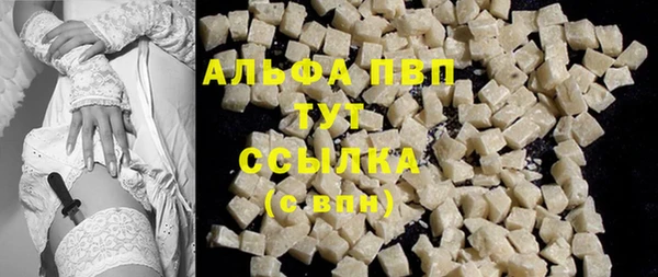 хмурый Абаза