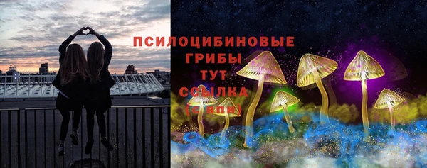 хмурый Абаза