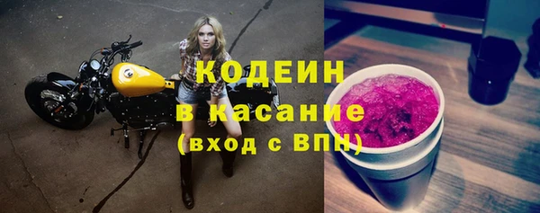 хмурый Абаза