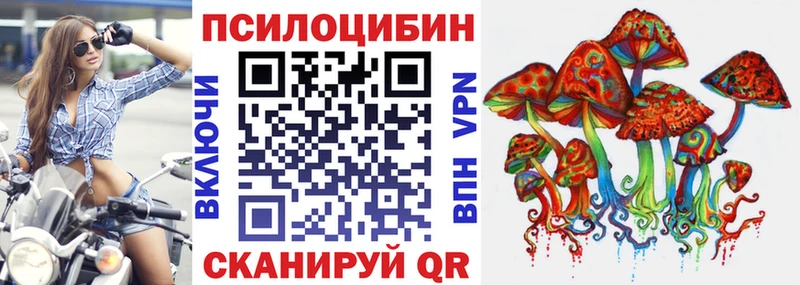 Галлюциногенные грибы Cubensis  наркотики  Советская Гавань 